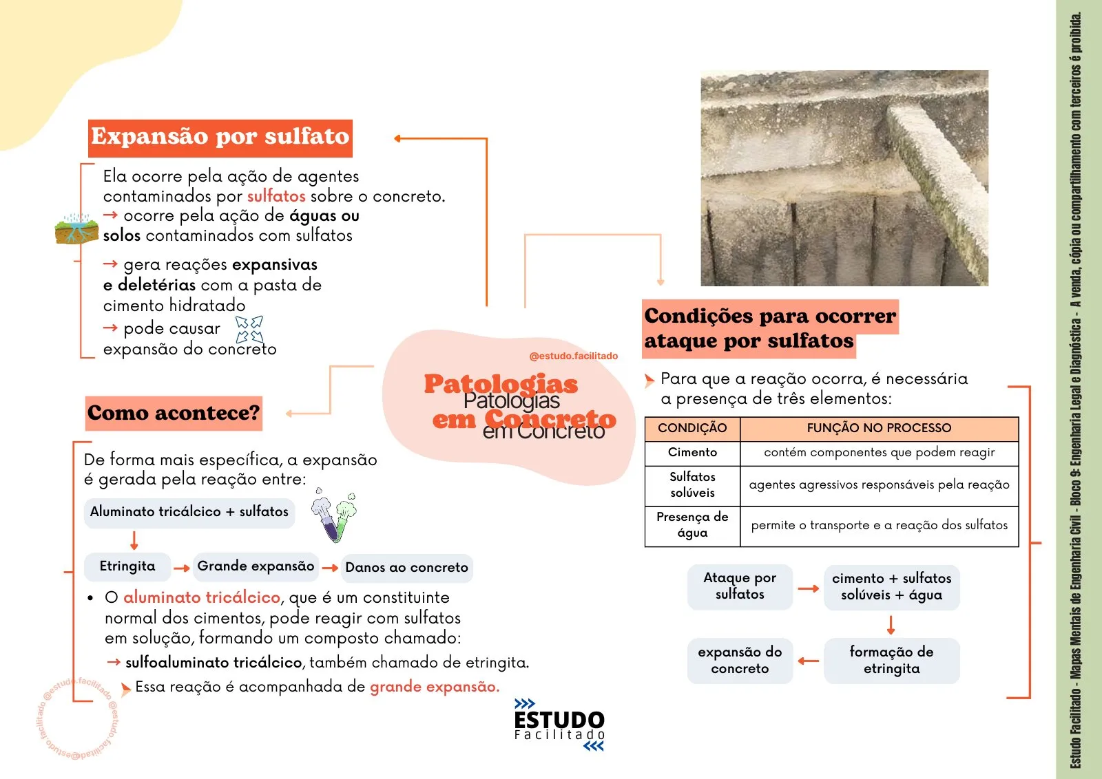 Mapa mental do bloco Engenharia Legal e Diagnóstica 1